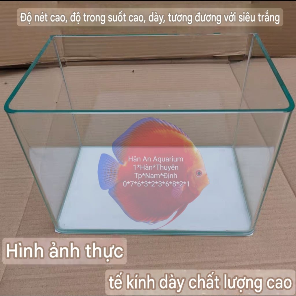 Bể cá kính đúc Minjiang 30x18x20cm