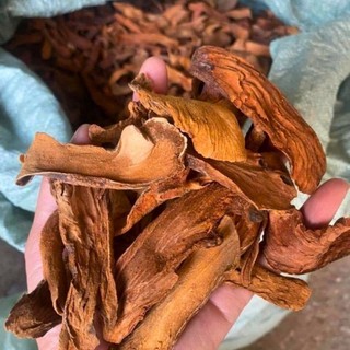 1kg Tắc Kè Đá Khô ( Cốt Toái Bổ ) thái lát phơi khô giúp mạnh xương khớp, bổ thận hoạt huyết tán ứ