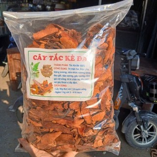 1kg Tắc Kè Đá Khô ( Cốt Toái Bổ ) thái lát phơi khô giúp mạnh xương khớp, bổ thận hoạt huyết tán ứ