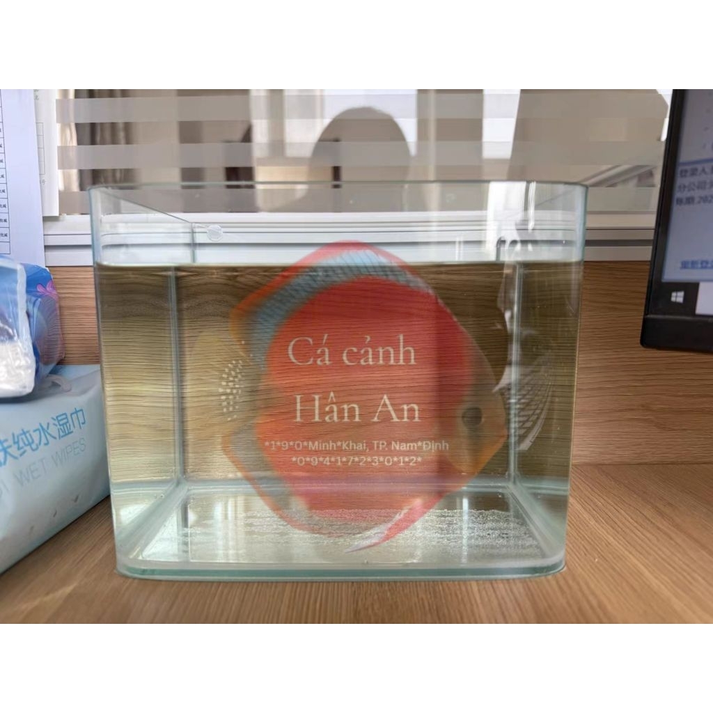 Bể cá kính đúc Minjiang 30x18x20cm