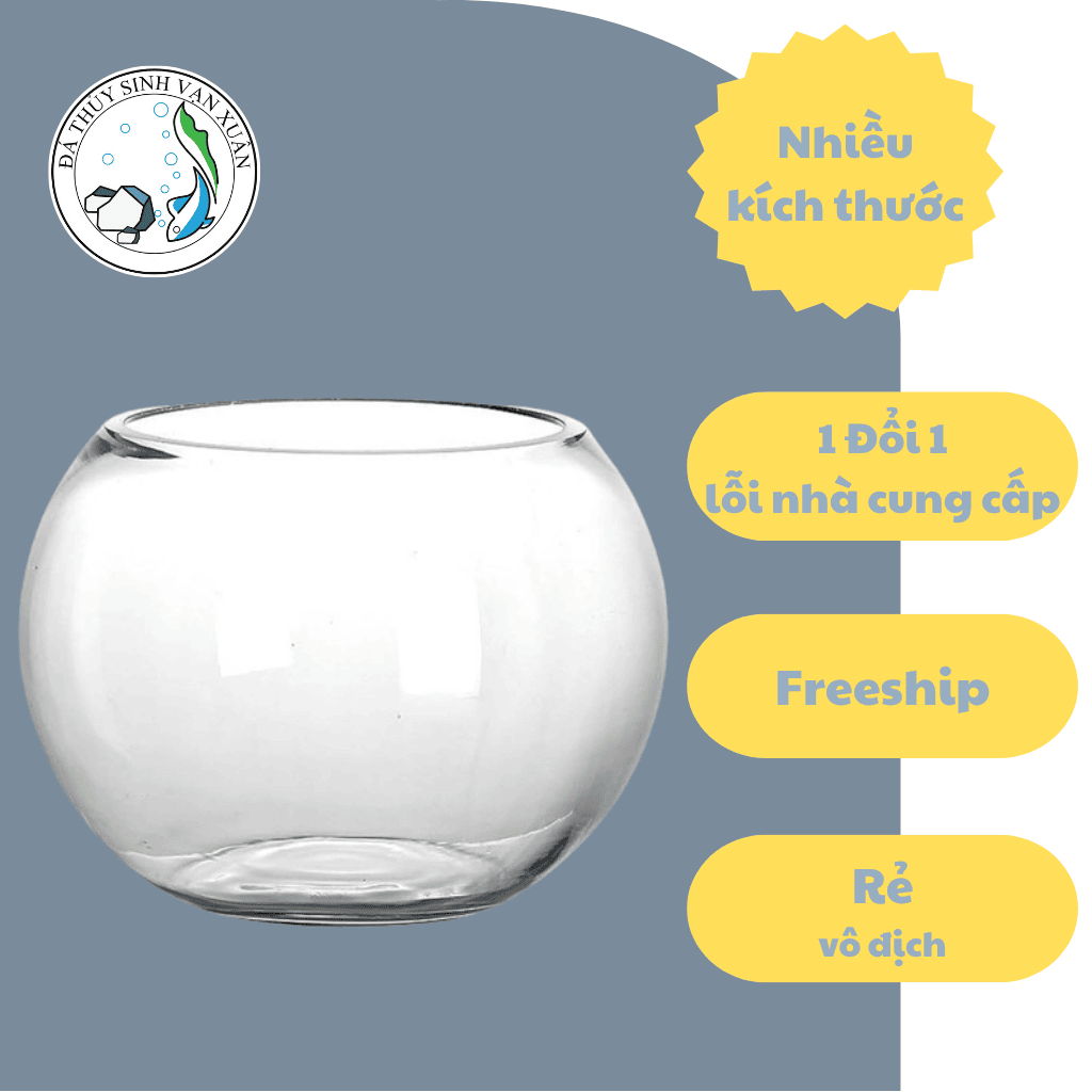 [HỎA TỐC HCM] Chậu thủy tinh trang trí VX111, chậu thủy tinh trồng cây thủy sinh, bể cá mini để bàn,