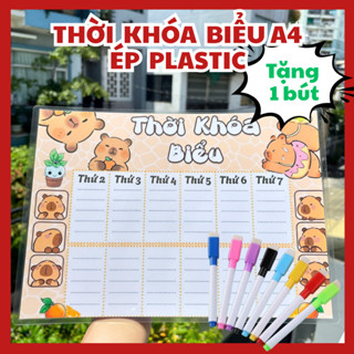 [ A4 PLASTIC]   THỜI KHÓA BIỂU ÉP PLASTIC - SIZE A4, sử dụng nhiều lần + TẶNG 1 BÚT VIẾT XÓA 2 ĐẦU