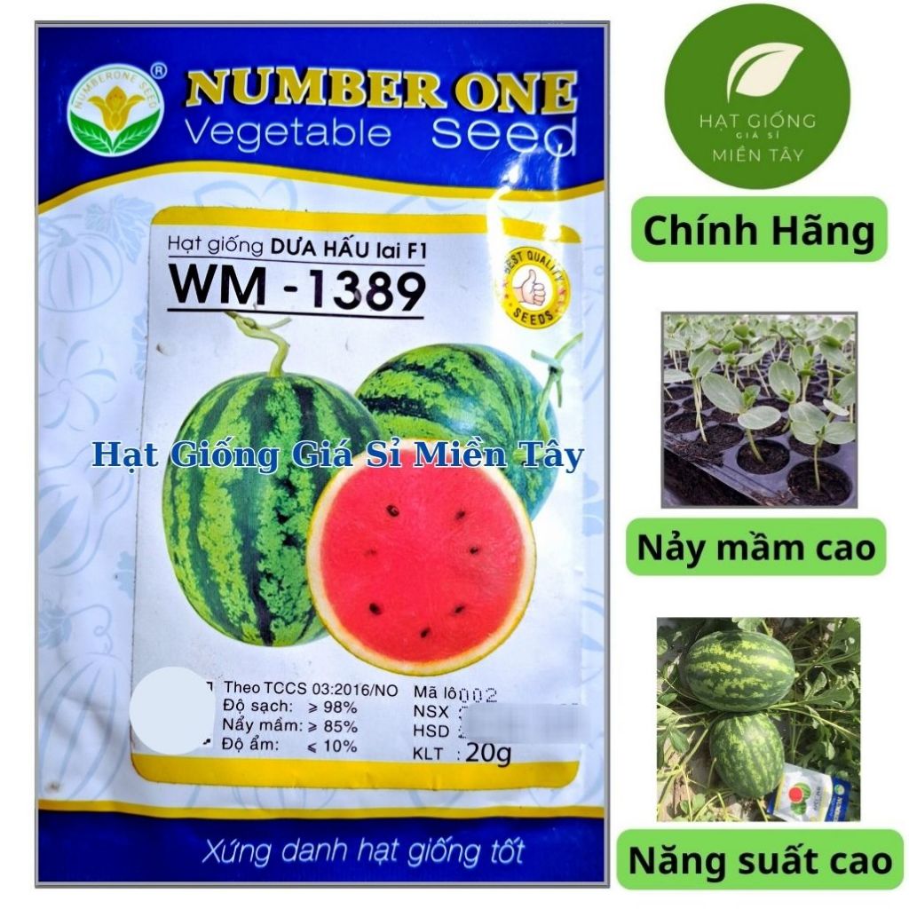 Hạt Giống Dưa Hấu Lai F1 WM-1389 NUMBER ONE (Gói 20 gram)