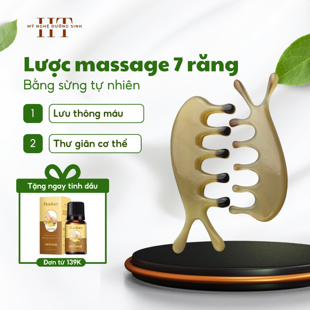 Lược Sừng Massage Đầu Hình Cá Heo 7 Răng Tròn, Mát Xa Ấn Huyệt Thư Giãn Cơ Thế - Mỹ Nghệ Dưỡng Sinh HT