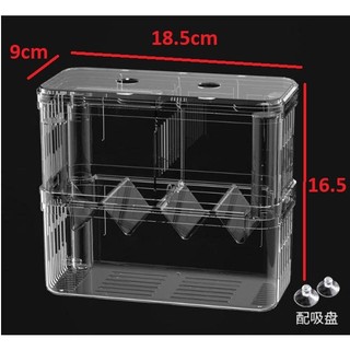 Lồng đẻ cá 7 màu | Lồng dưỡng cá | Lồng cá đẻ bằng mica