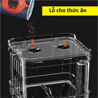 Lồng đẻ cá 7 màu | Lồng dưỡng cá | Lồng cá đẻ bằng mica