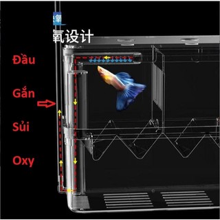 Lồng đẻ cá 7 màu | Lồng dưỡng cá | Lồng cá đẻ bằng mica