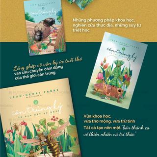 Sách - Côn trùng ký 8 tập, lẻ tùy chọn, Huy Hoàng Bookstore