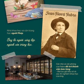 Sách - Côn trùng ký 8 tập, lẻ tùy chọn, Huy Hoàng Bookstore
