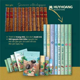 Sách - Côn trùng ký 8 tập, lẻ tùy chọn, Huy Hoàng Bookstore