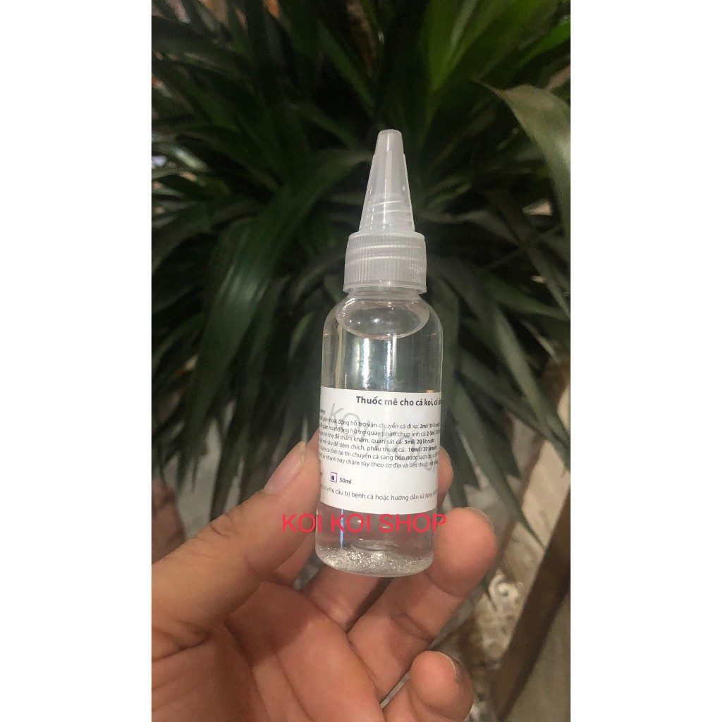 Gây mê cá koi, cá cảnh_koi sleep chiết ra chai 20ml và chai 50ml.