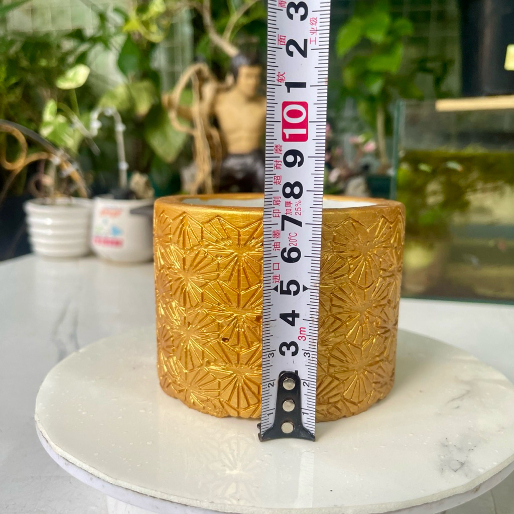 chậu trồng cây ms004 sen đá-hoa kiểng