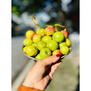 1kg quả táo mèo tươi