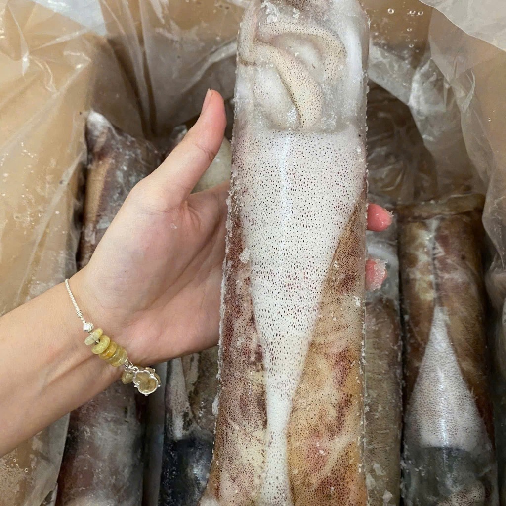 Mực lá câu Minơ, mực lá tươi ngon con bự size 1-1.2kg/con