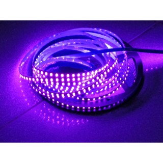 Cuộn Led dây  ZICZAC 12V 2835 60led /120 led