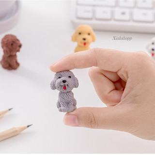 Tẩy Chì Chó Lông Xù