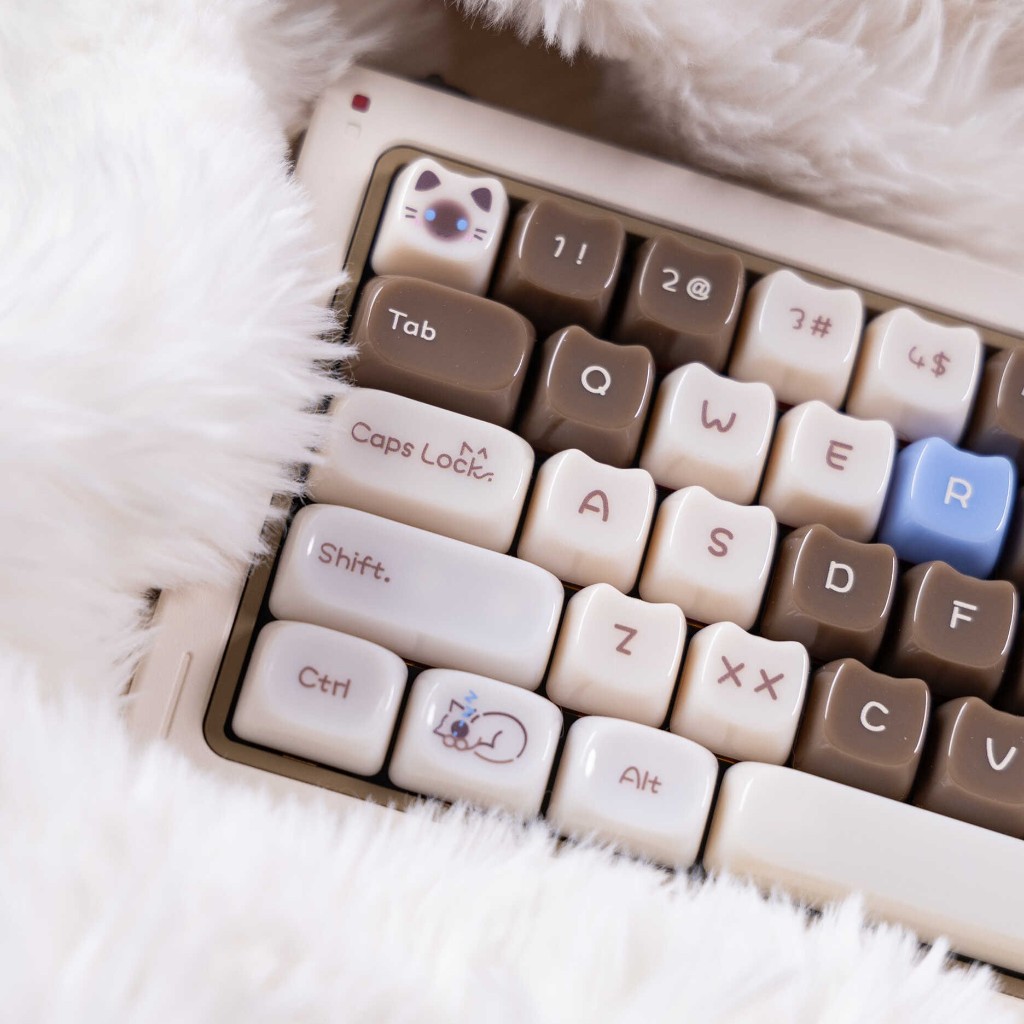 Keycap Candy Cat PC – Chocolate | Jade PC | Xuyên Led