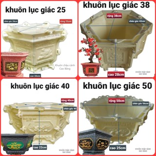 [Mới] khuôn đúc chậu cảnh lục giác (khuôn chậu ABS có lòng trong)