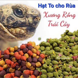 Thức ăn Cao Cấp cho Rùa, Bò sát hạt Xương Rồng, Trái Cây Hạt To