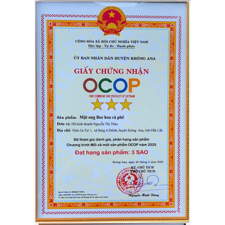 Mật ong hoa cà phê Đăk Lăk 1 Lít