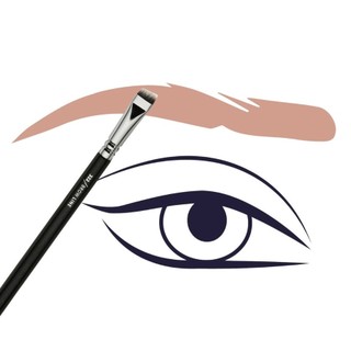 Cọ Trang Điểm Tán Mày Bản To ZOEVA Luxe Complete Brow Line Brush 322