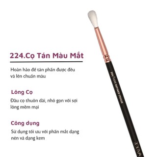 Cọ Trang Điểm Trộn Và Tán Màu Mắt ZOEVA Rose Golden Luxe Defined Crease Brush 224