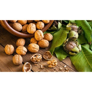Nhân Hạt Óc Chó (Walnuts) - 100 gram