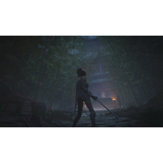 Đĩa Game WUCHANG: Fallen Feathers PS5