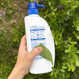 [THÊM DUNG TÍCH -> 700ML] Dầu Gội Sạch Gàu Head & Shoulder Bạc Hà Mát Lạnh