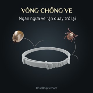  Vòng cổ ngăn ngừa ve rận cho cún - Phòng tránh ký sinh trùng máu | BossDog 