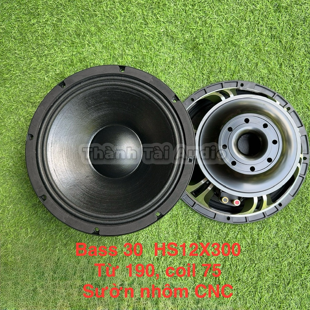 Loa bass 30, sườn nhôm CNC từ 190, coil 75 in/out (1 cái)