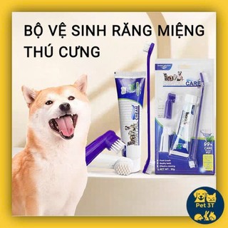 Bộ Bàn Chải Vệ Sinh Răng Miệng Thú Cưng