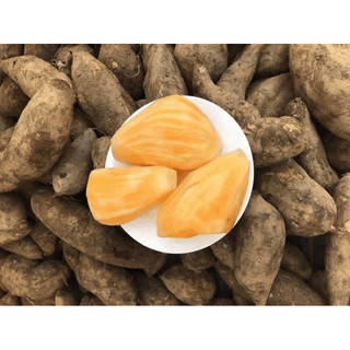  khoai Sâm đất đặc sản núi rừng Tây Bắc   củ bé   