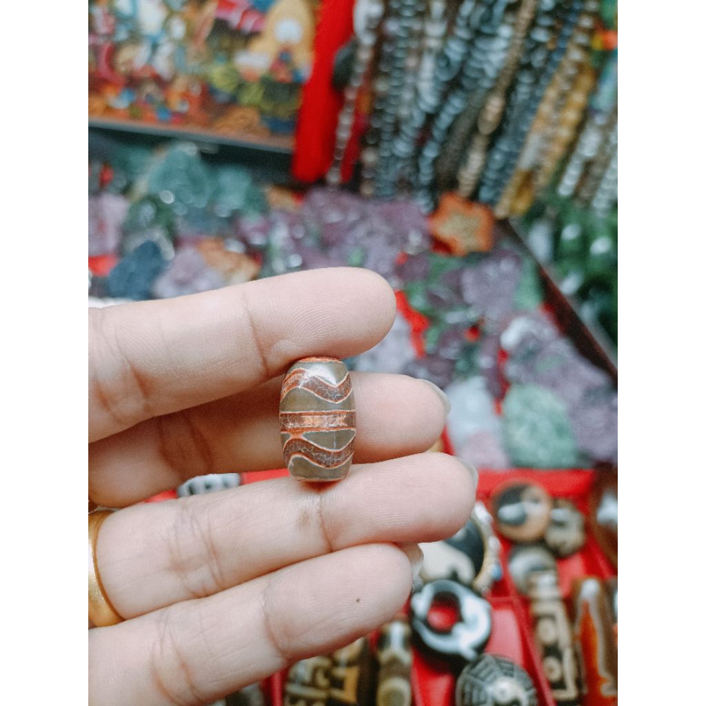 mã não lạt ma Thiên châu tây tạng, DZI TÂY TẠNG.