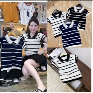 (LC002) Áo polo len mongtoghi MM phối tay viền bèo 2 tầng, áo len dệt kim hàng QCL1 mềm mịn