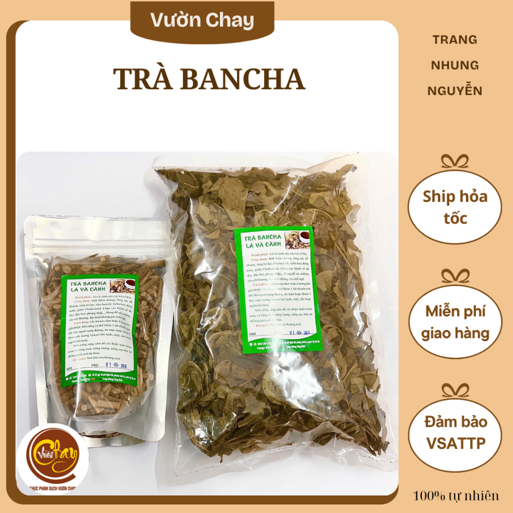 Trà bancha (trà lá già San Tuyết lâu năm) 200g - Vườn Chay
