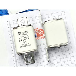 RS0-400/RS3-400 Cầu chì 300A 500V