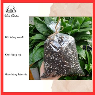 Đất Trồng Sen Đá Xương Rồng Trồng Cây 1kg Vuờn của Min Siêu Phẩm Trồng Sen Đá Xương Rồng