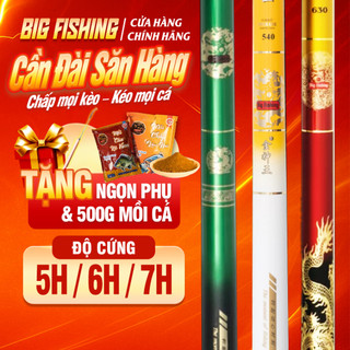  Cần Câu Đài Săn Hàng Bigfishing 5H 6H 7H chuyên săn Rô Chép Trắm đen cá 30kg hồ tự nhiên dịch vụ 