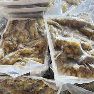 Hải Sâm Gai Vàng . Nhân sâm biển bổ dưỡng cho sức khoẻ. Khay 500g đã làm sạch