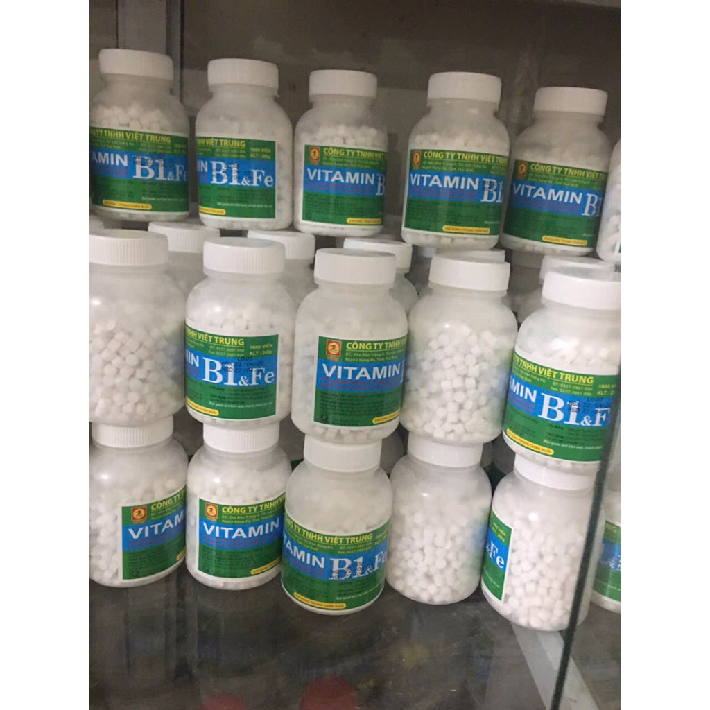 vitamin B1 lọ 1800viên dùng vỗ béo cho gà ngan vịt lợn chó mèo giúp ham ăn chóng lớn hạn chế bệnh tậ