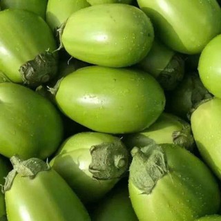 70 Hạt Giống Cà Pháo Xanh Mỡ – Trái Đẹp, Giòn Ngọt, Năng Suất Cao Hàng CTY