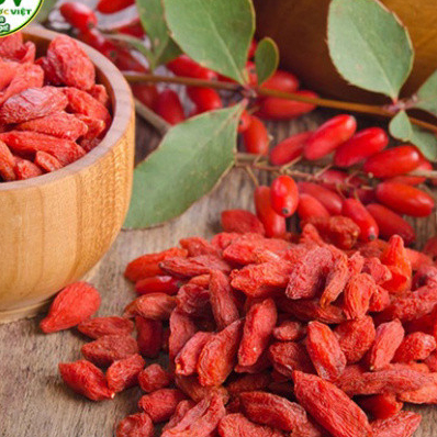 ✅ Kỷ Tử Đỏ (Câu Kỉ Tử) 100gr Sấy Khô Quả To Đỏ Đều Giúp Đẹp Da, Bổ Máu, Dễ Ngủ, Sáng Mắt