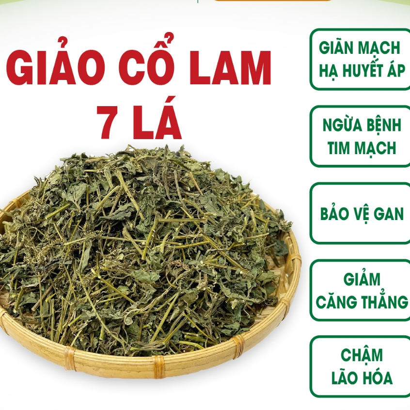 Giảo Cổ Lam 5 lá (sao tươi cao cấp) chuẩn Hoà Bình