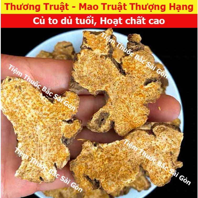 Thương Truật - Xương Truật - Mao Truật - Song Truật 100g
