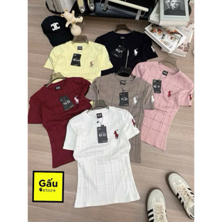    Có Size 38kg - 58kg   Áo thun ôm nữ thêu  form tôn dáng cổ tròn phối lưới trước thêu Ngựa k19 