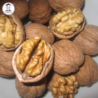 1kg Quả Óc Chó Nhập Khẩu