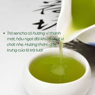 Trà xanh Sencha Nhập Khẩu Nhật Bản Có Chất Chống oxy Hóa, Ngăn Ngừa Ung Thư Gói Lớn 500G-1KG