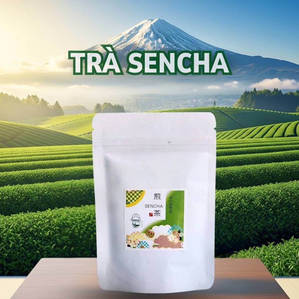 Trà xanh Sencha Nhập Khẩu Nhật Bản Có Chất Chống oxy Hóa, Ngăn Ngừa Ung Thư Gói Lớn 500G-1KG