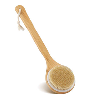  Cây Chà Lưng ECOHUB Tẩy Tế Bào Chết - Bàn Chải Khô Body Chà Lưng Tắm Thay Thế Cọ Bông Tắm Tạo Bọt 